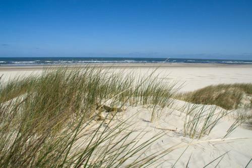 Sonne Und Sankt Peter-Ording
